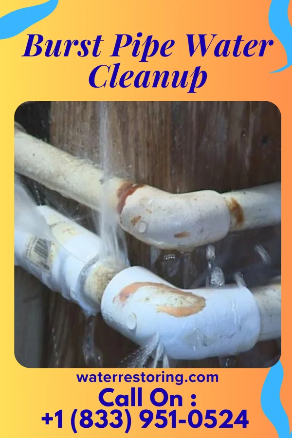 Burst Pipe Water Cleanup in West Wood, UT
