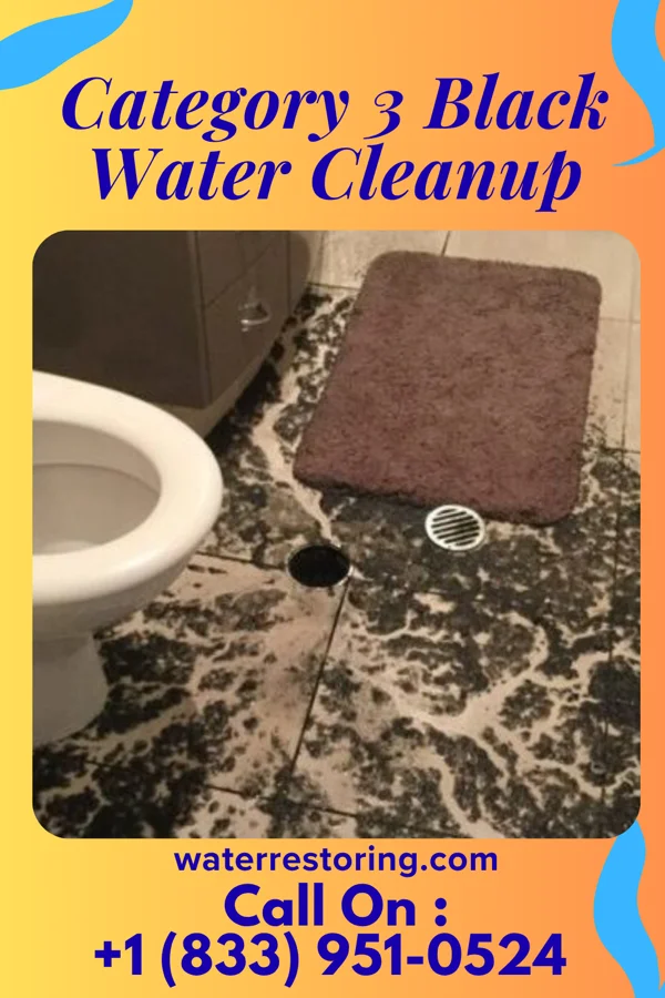 Category 3 Black Water Cleanup in West Wood, UT