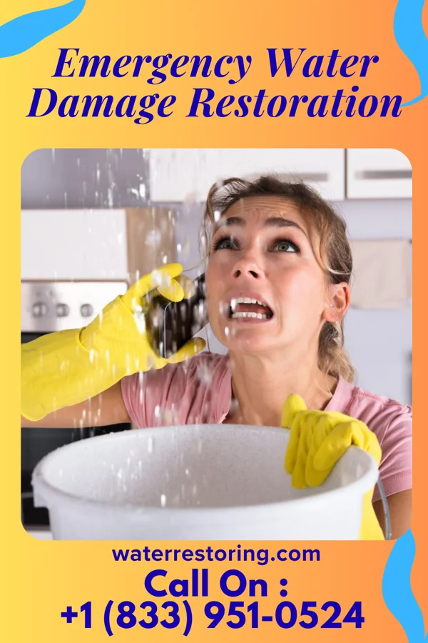 Emergency Water Damage Restoration in West Wood, UT