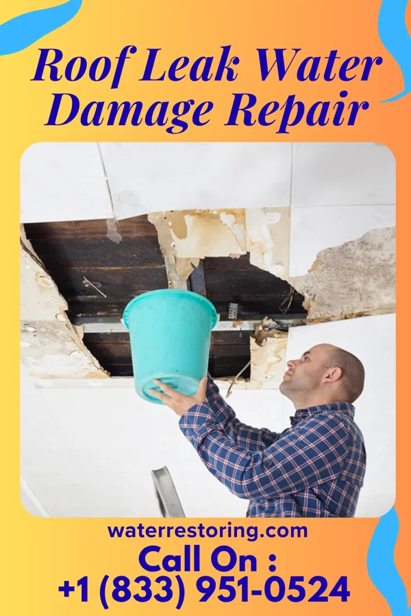 Roof Leak Water Damage Repair in West Wood, UT